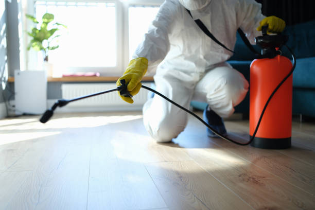 Reliable Sewage Cleanup contractor in Black Diamond, FL by Dulley Family Biohazard Services